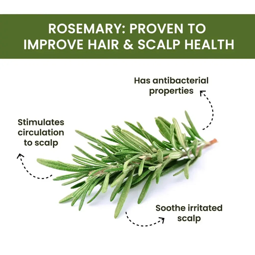 Rosemary Water Spray | For Hair Regrowth (Buy 1 Get 2 Free π)